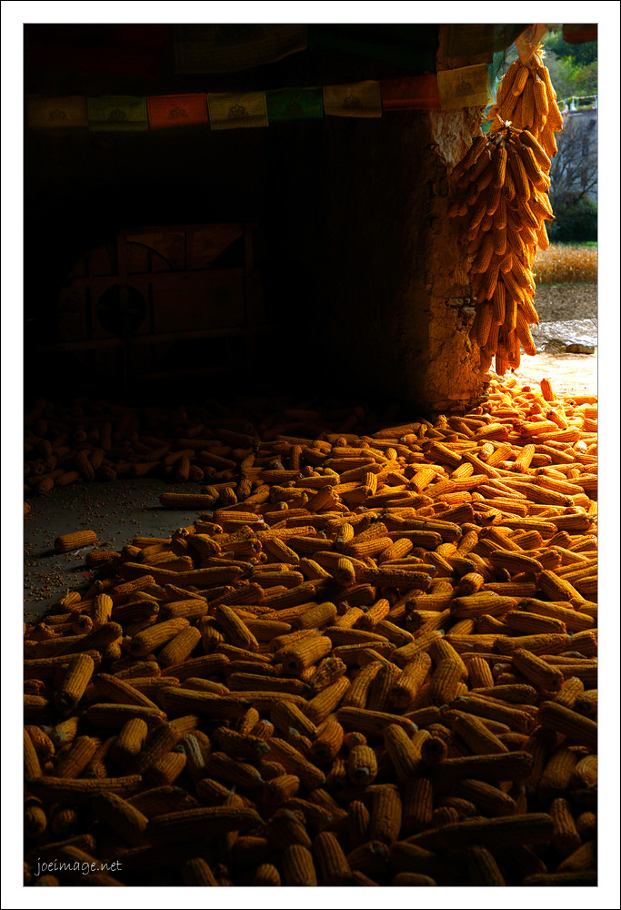 20091116_b21ac4888b1d7a9aa42fJ3OQGaSQidF2.jpg