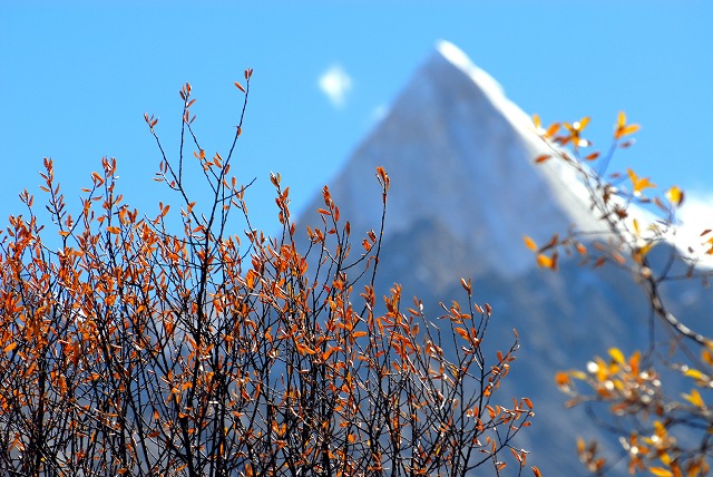 20091210_0324b97398926a679b30bdEIrdeGU215.jpg