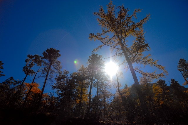 20091210_0c3a34de387b4e4f5fe5WltuDehiatHJ.jpg