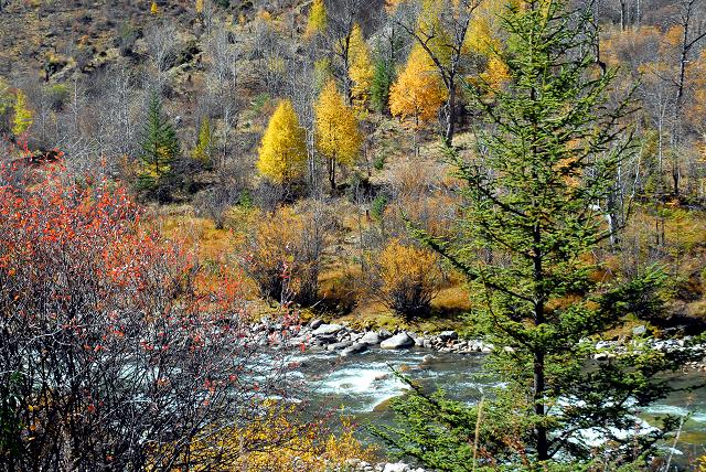 20091210_506d2c68a71a6efbc672heKXTaOCm3GX.jpg