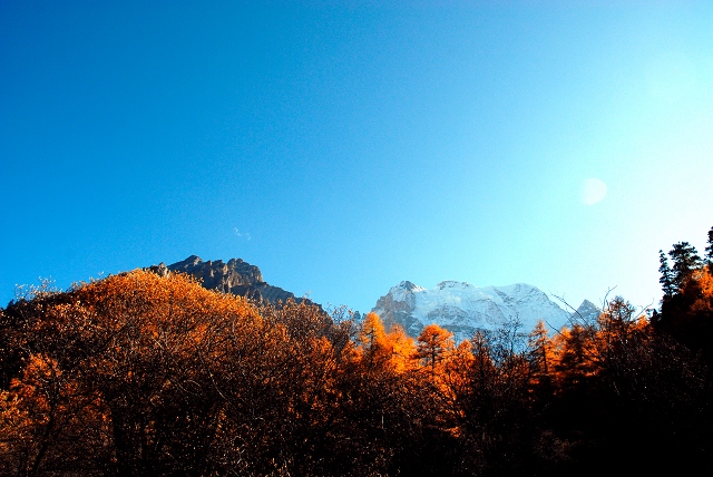 20091210_5ef3f806a444707ba37dM5Xnaw1VpFDf.jpg
