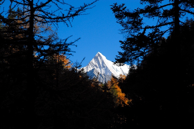 20091210_a554419e3547783a52bfBHkMPFCJQBap.jpg