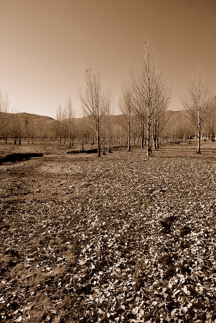 20091210_a7ad2e8adb655e93284e42PDbeH27Fg7.jpg
