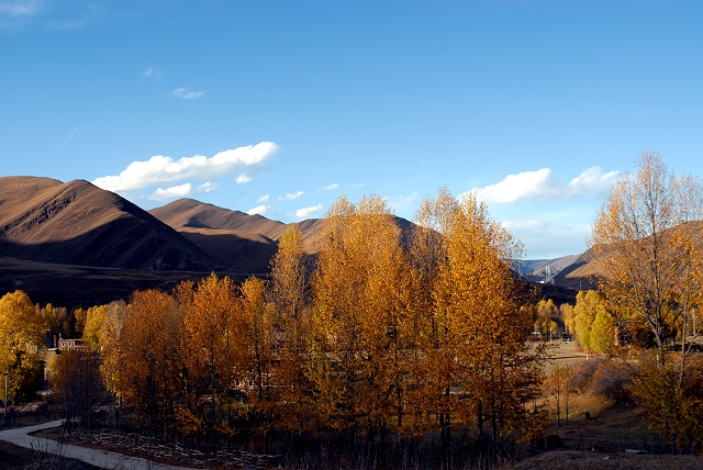 20091210_ac88574483e4280dc3ee2RGIOKWDKjP5.jpg