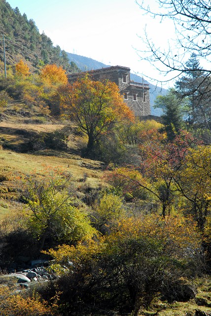 20091210_af92ca59058f7d5559a6DGWFSYUDPLBx.jpg