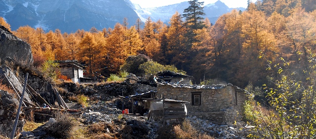 20091210_db40bf94d9ea3574938f8TChvqlcJITo.jpg