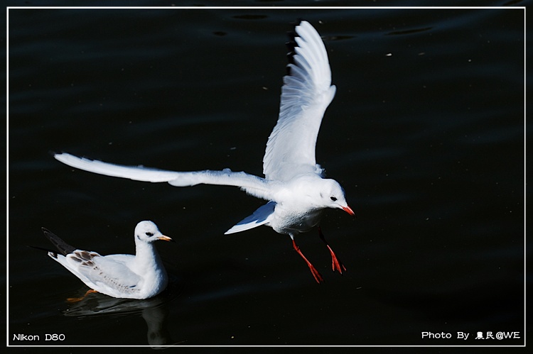 20091201178.jpg
