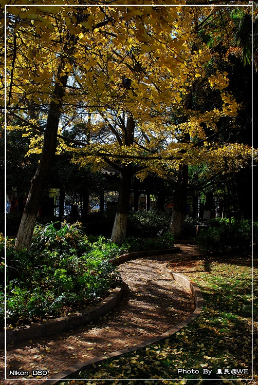 20091201187.jpg