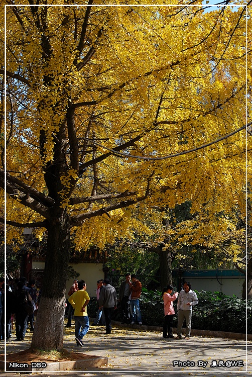 20091201199.jpg