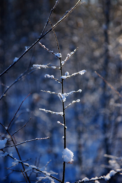 20091206_3c7f90d77f5c1097ef43YjZ9GO1kWD0b.jpg