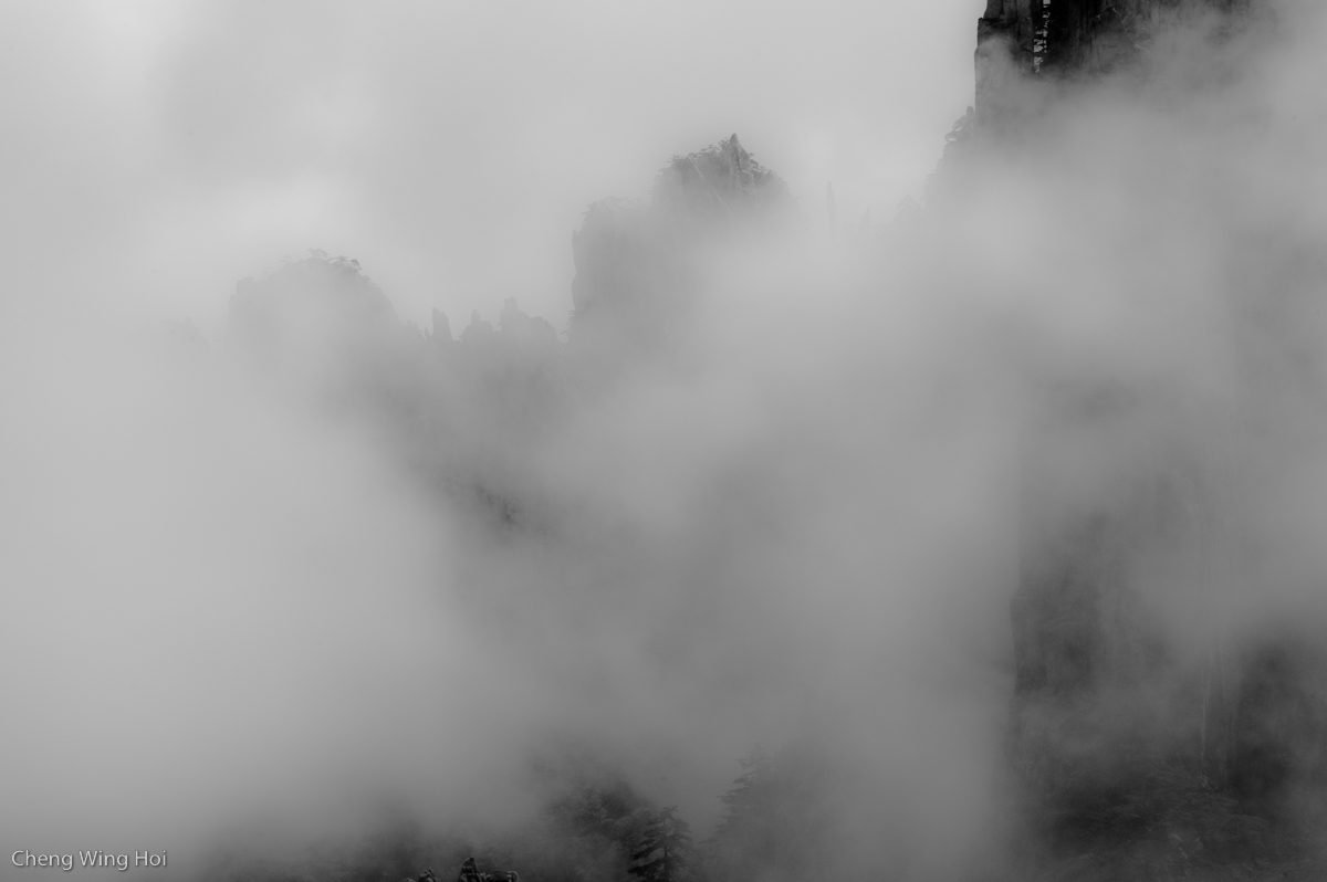 L1018569.jpg
