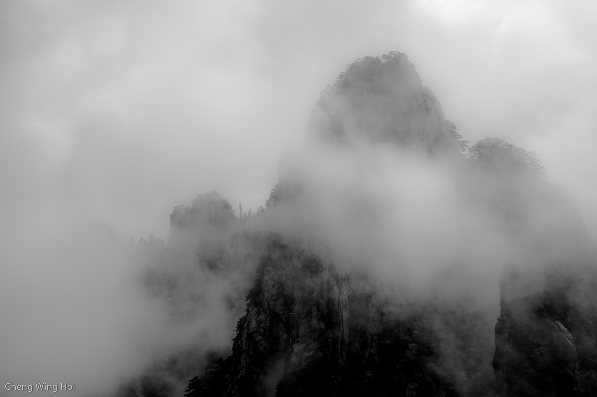 L1018576.jpg