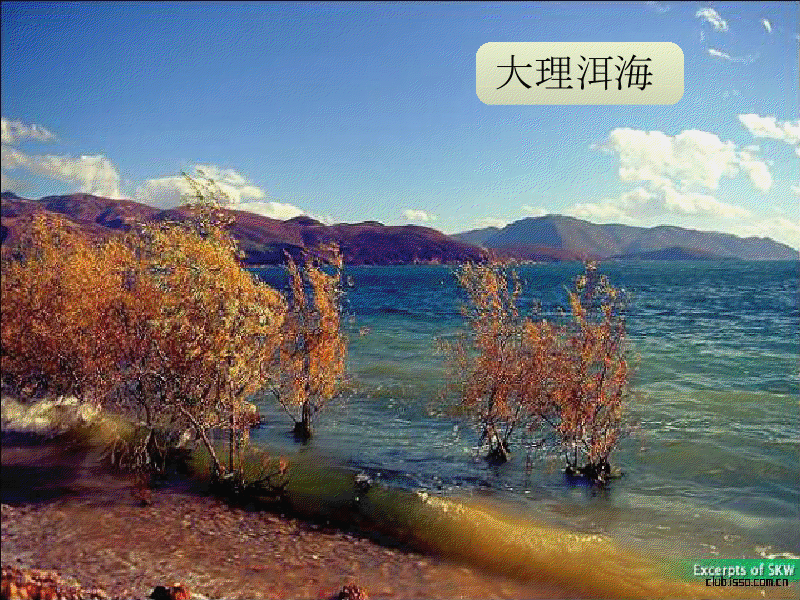 gview_009.png