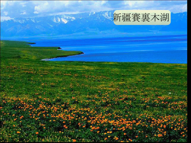 gview_045.png