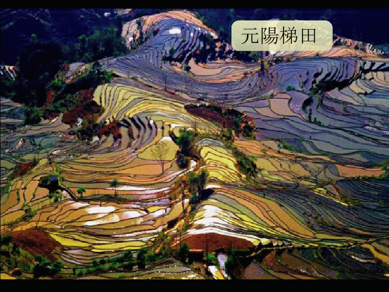 gview_054.png