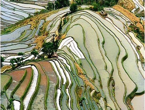 China08.jpg