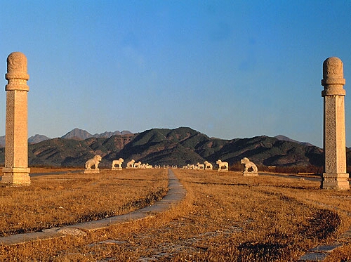 China22.jpg