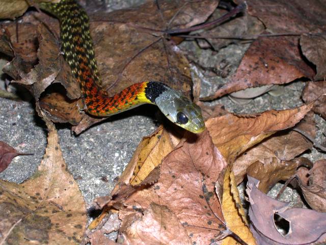DSCN6152.JPG