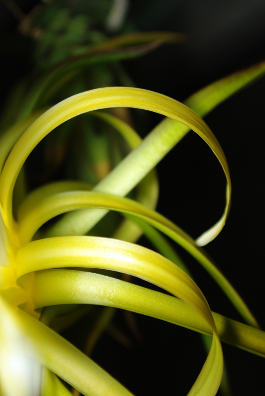 20091019_a9af64e2ea9441dc034fSpFaoNx85XuC.jpg