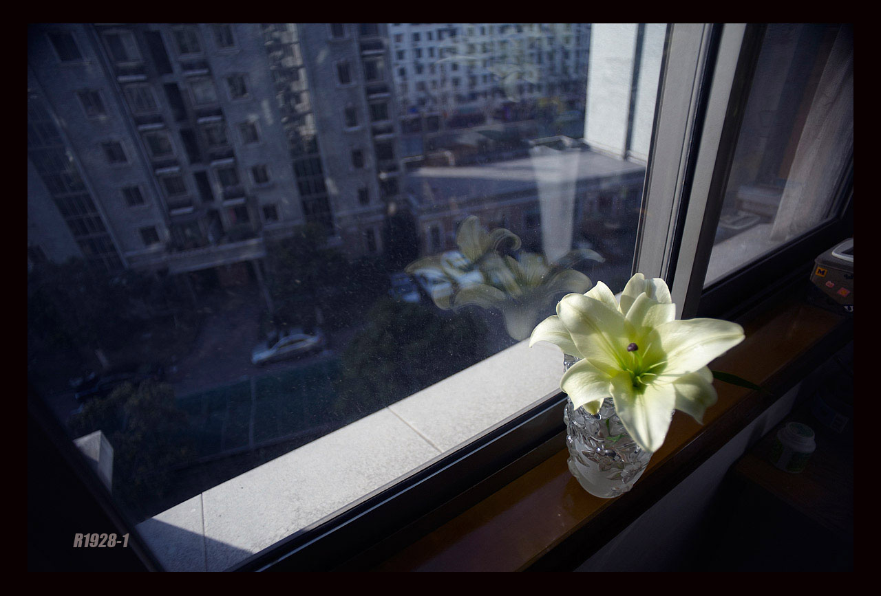 20110126_fdd9ec7a81e447a77f627hM7qtz6ICyH.jpg
