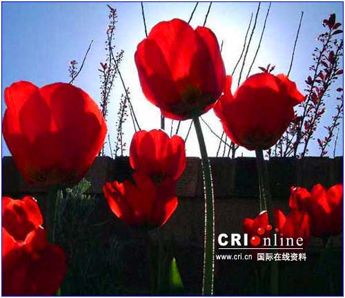 cid_image001.jpg