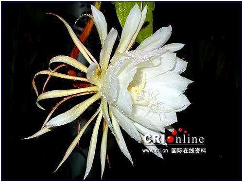 cid_image002.jpg