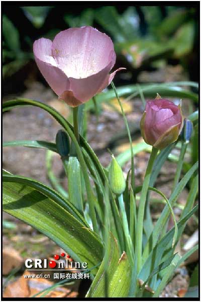 cid_image003.jpg