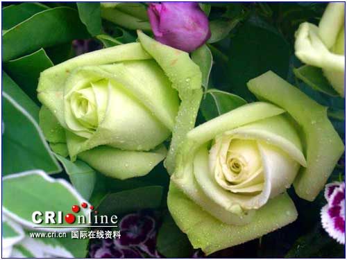 cid_image004.jpg