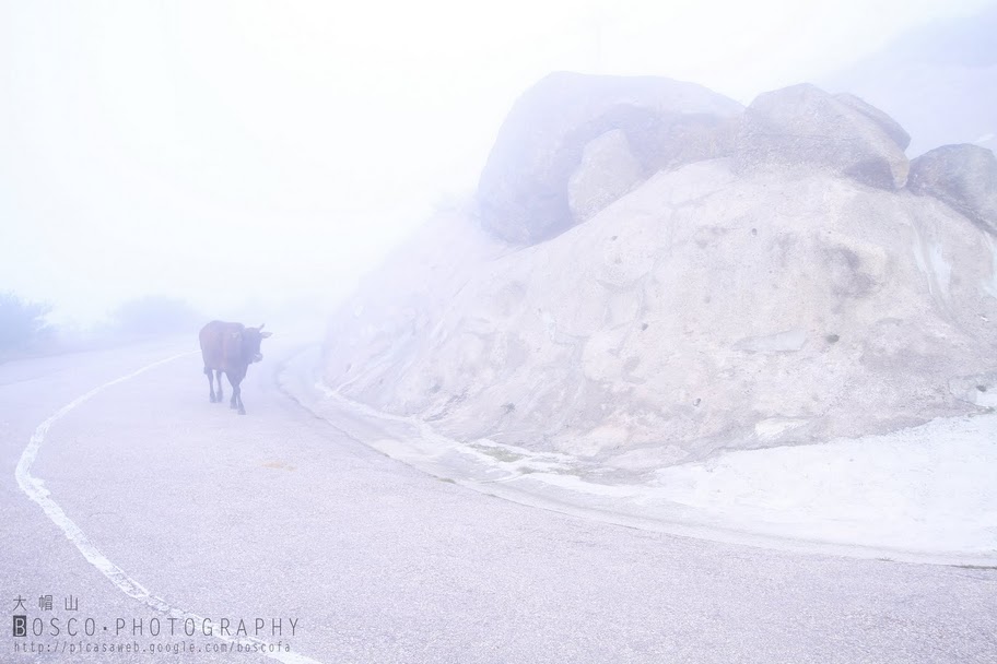 大帽山26.jpg