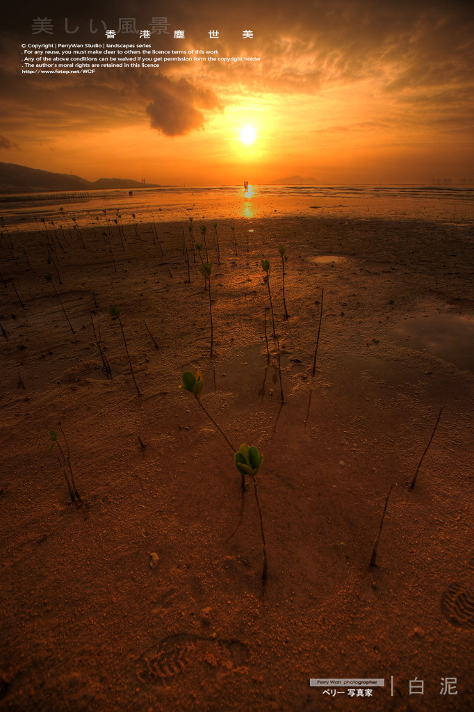 DSC01169_70_71_tonemapped.jpg
