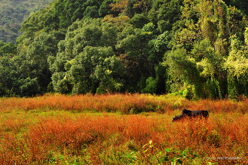 DSC_8736a.jpg