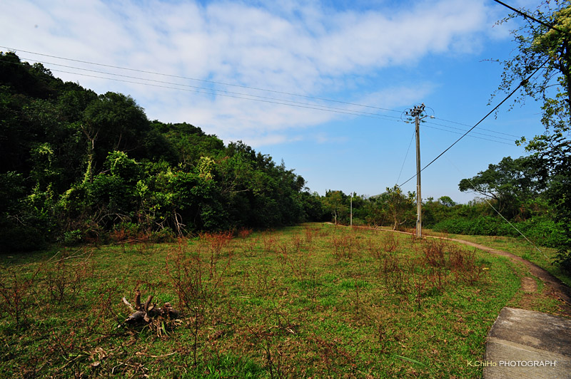 DSC_8755a.jpg
