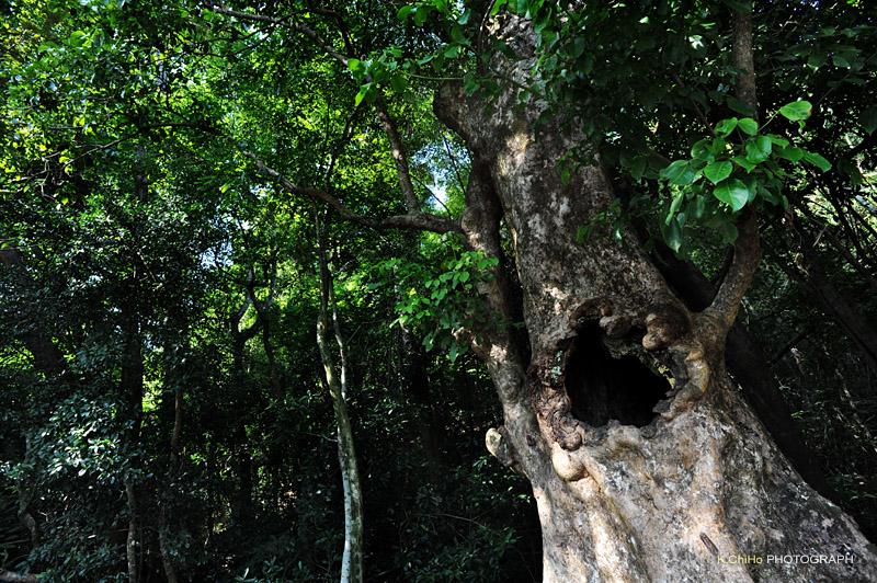 DSC_8850a.jpg