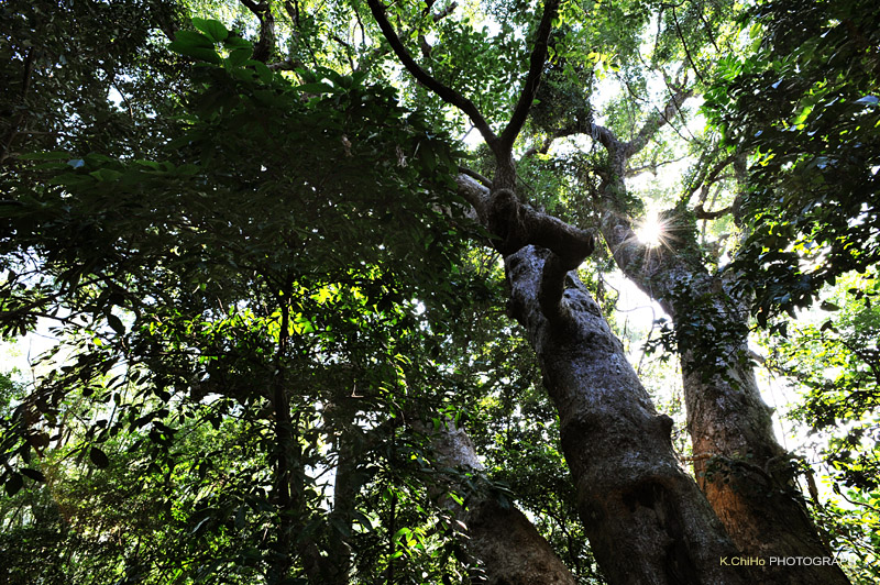 DSC_8862a.jpg