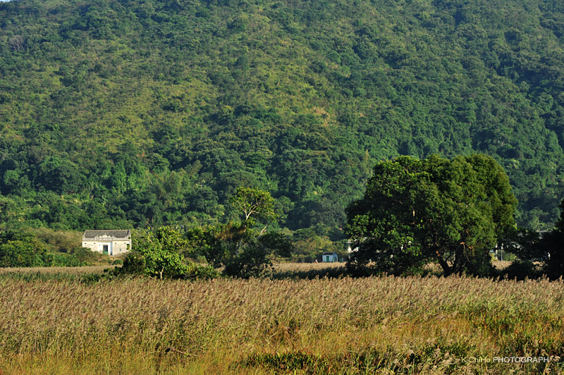 DSC_8921a.jpg