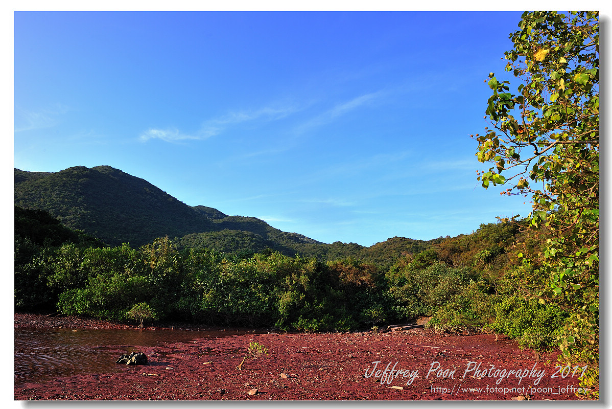 DSC_0992.jpg