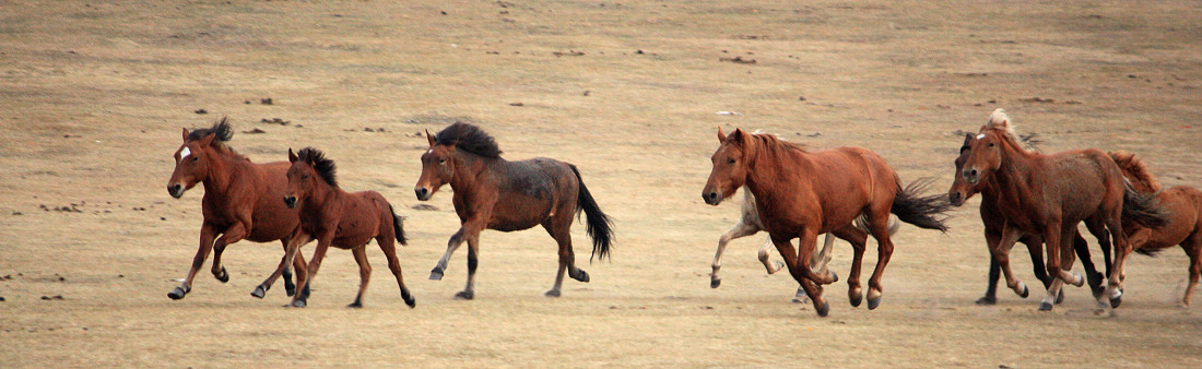 20111013_42ac5870cb05d2aa3358UFWwCDo5ufZT.jpg