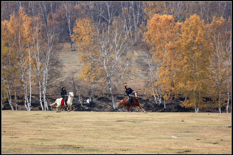 20111013_698ca1ba28b244c8389diqRE503rfdbC.jpg