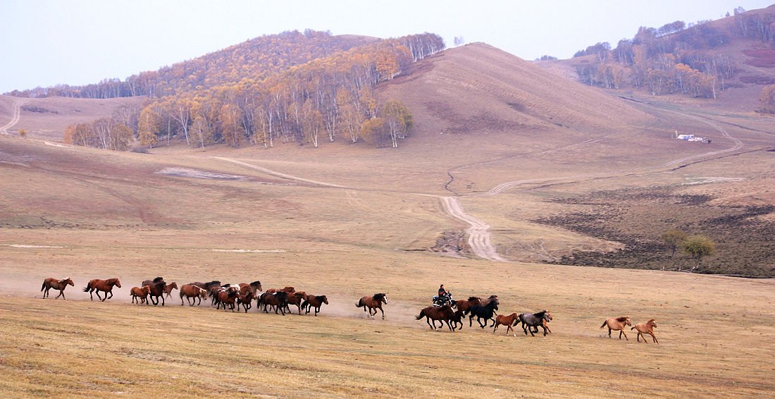 20111013_f690d868fc5e0df072cb8pbI37g8KVRC.jpg