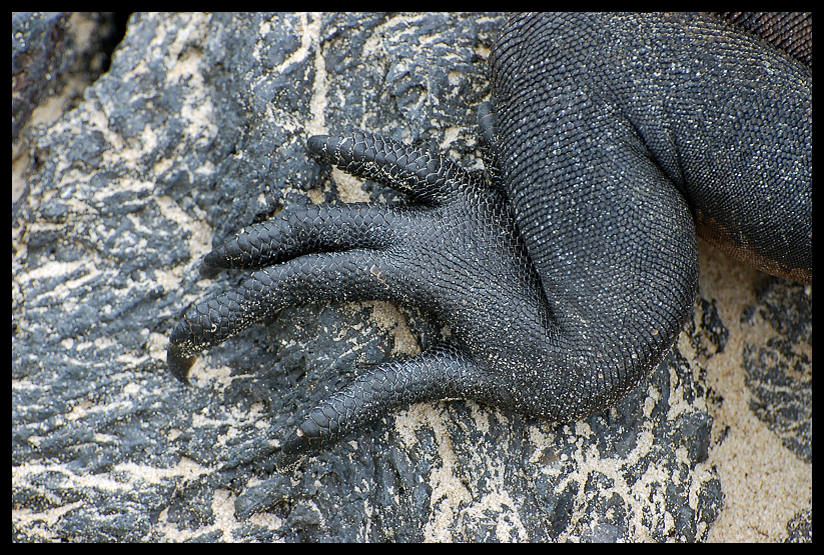 20100208_e188489bedf10faddf67euDQgt1blU1W.jpg