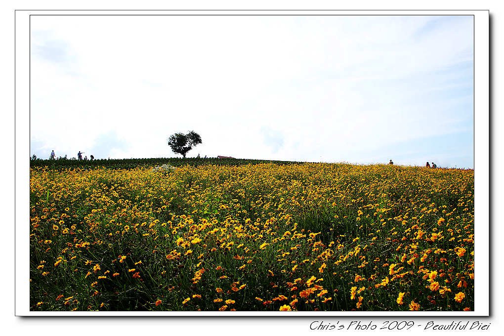 20090830_04c3896ec0c28f3d0374DNXhsHvzSqhq.jpg