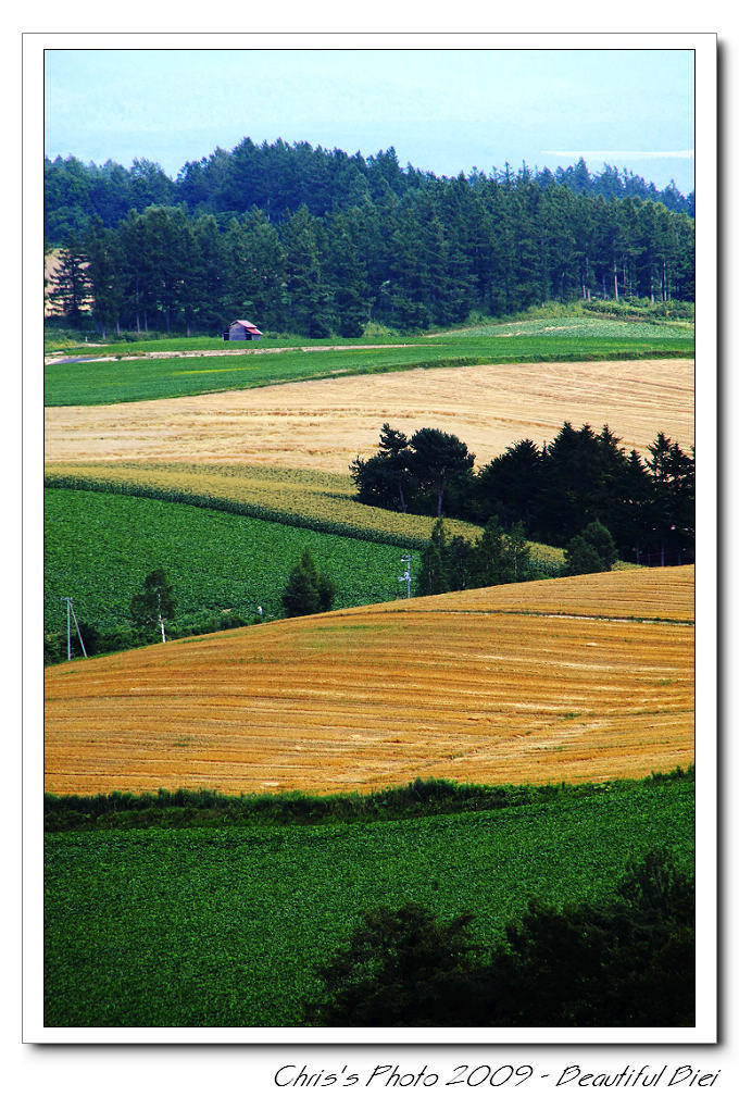 20090830_74b721e83a0d872bd5eeiqqu7RlJmtjM.jpg