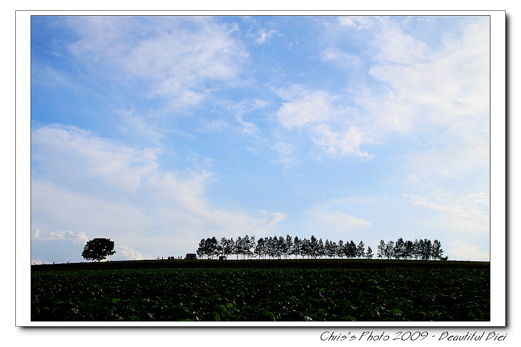 20090830_8589368b8c6e665660b3yNdZokllnfZc.jpg