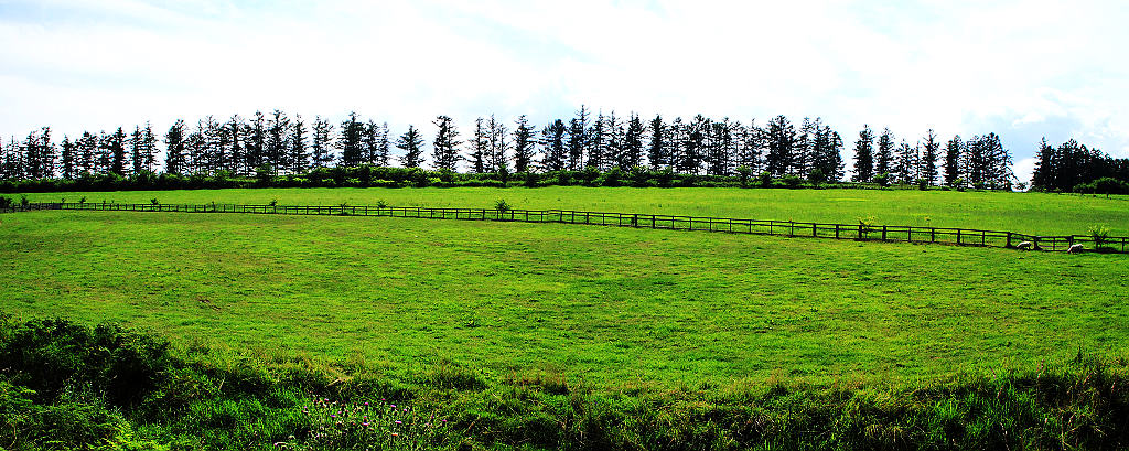 20090902_cb513f1224490029993akWTfwkC8C0mt.jpg