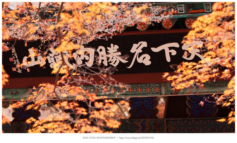 20111121_52e5bf74cfc80bb867ceFlvHRGVEHbFj.jpg