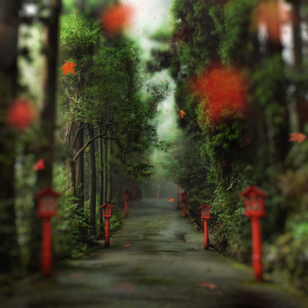 The-Gentle-Red-Path-X3.jpg