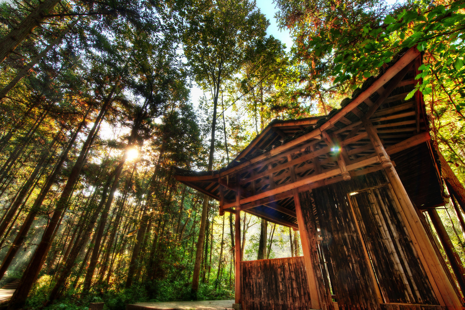 The-Possible-Pagoda-X3.jpg
