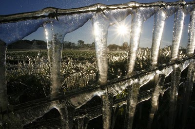 frost_in_florida_05.jpg