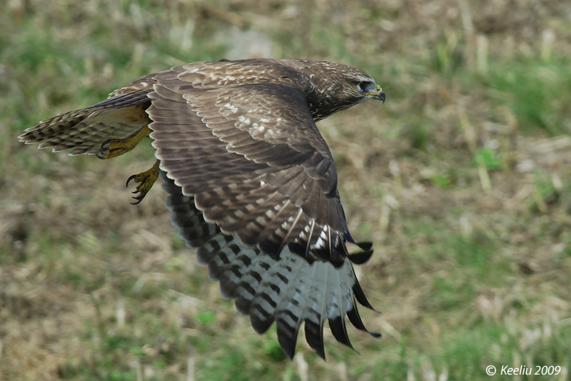 20091020_0c84b51a39655d0f80bclv2KR3QcZzw1.jpg