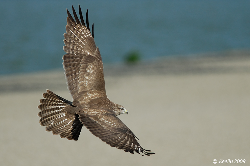 20091020_87980f7ed0e7b758827dbxPMUamA8Kbd.jpg